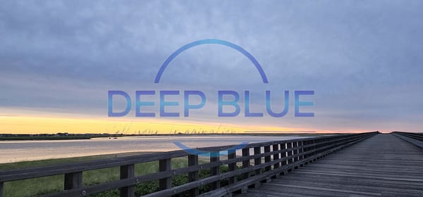 Deep Blue