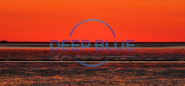 Deep Blue