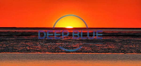 Deep Blue