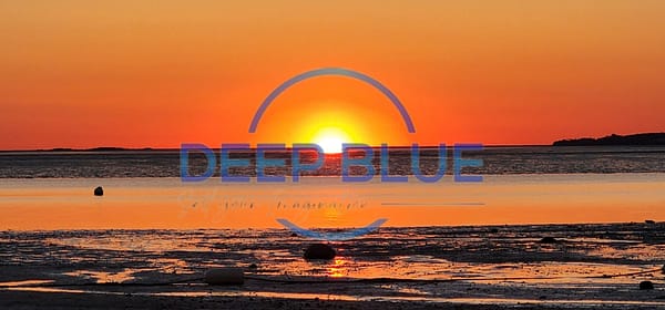 Deep Blue